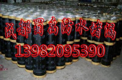 成都防水堵漏服務指南 解決漏水困擾的專業選擇